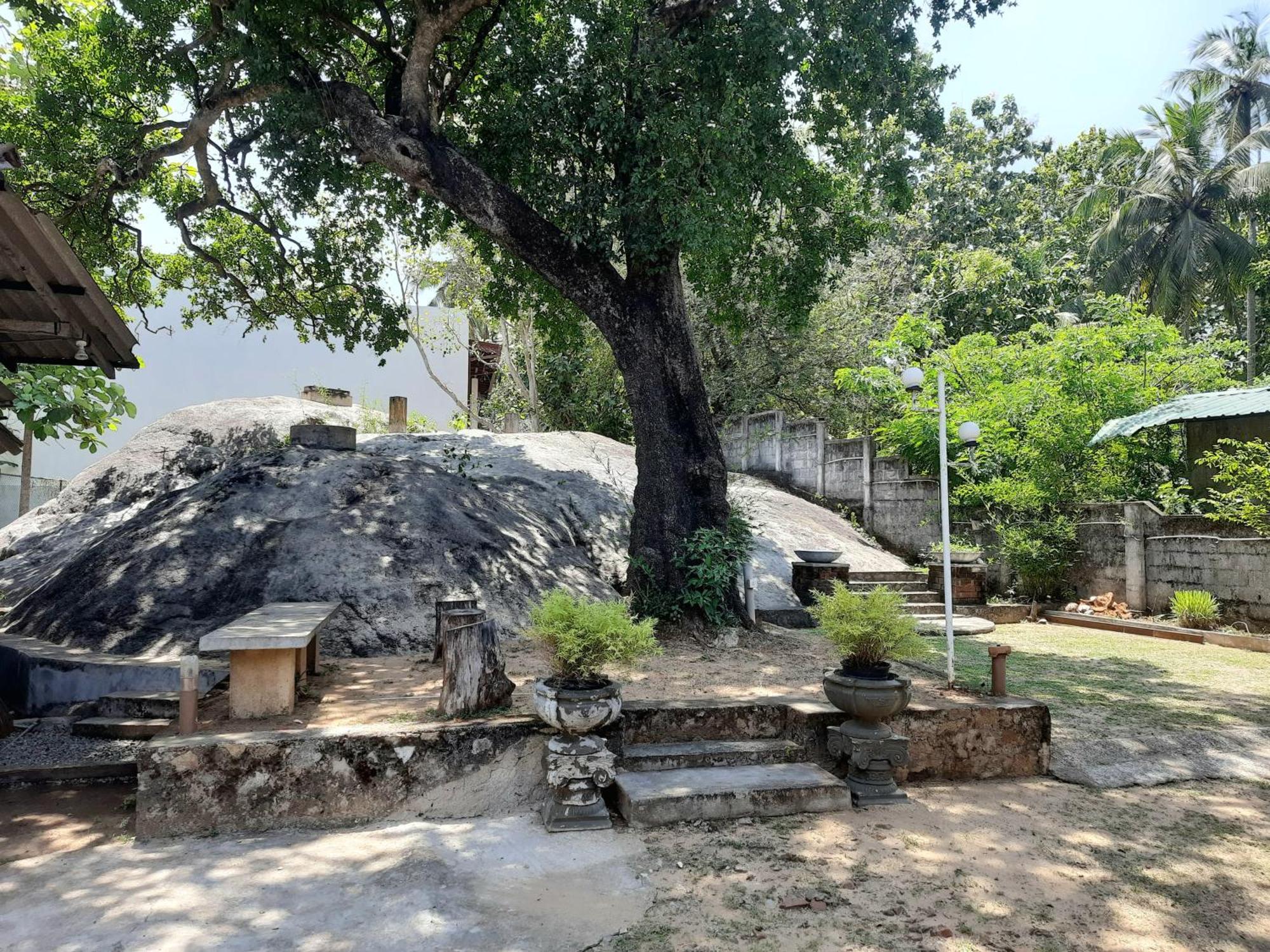 Selagala Resort Anuradhapura Exterior foto